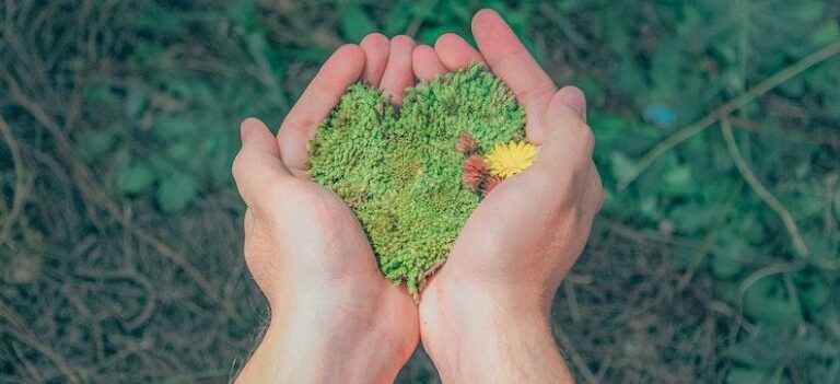 Objectifs de développement durable