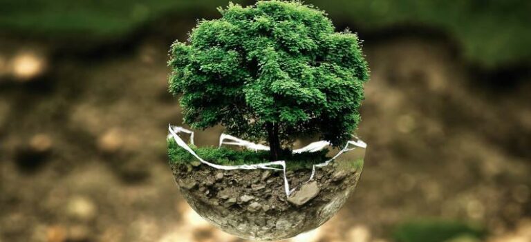environnement-terre-rse